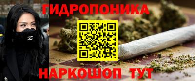 стафф Краснокаменск
