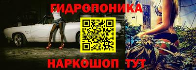 стафф Краснокаменск