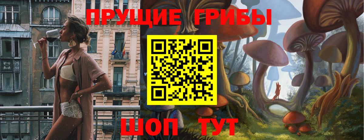 Псилоцибиновые грибы мицелий  Вход с VPN  Железноводск 